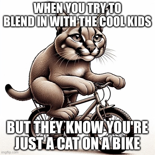 Caracal sitting on a bike | WHEN YOU TRY TO BLEND IN WITH THE COOL KIDS; BUT THEY KNOW YOU'RE JUST A CAT ON A BIKE | image tagged in caracal sitting on a bike | made w/ Imgflip meme maker