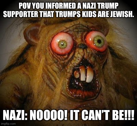 That’s gotta be awkward… | POV YOU INFORMED A NAZI TRUMP SUPPORTER THAT TRUMPS KIDS ARE JEWISH. NAZI: NOOOO! IT CAN’T BE!!! | image tagged in omg it can't be the horror,trump,fail,idiots,beta | made w/ Imgflip meme maker