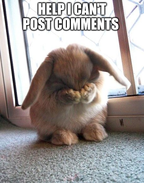 embarrassed bunny | HELP I CAN'T POST COMMENTS | image tagged in embarrassed bunny | made w/ Imgflip meme maker