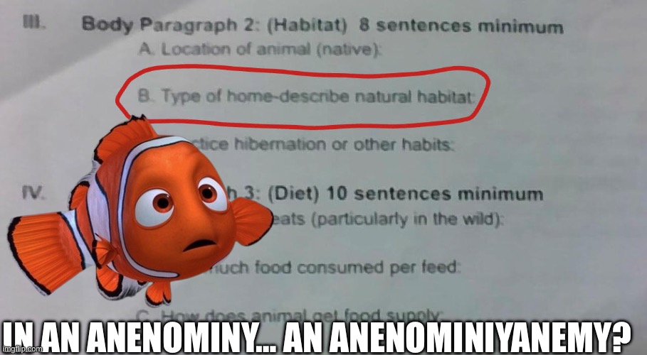 IN AN ANENOMINY… AN ANENOMINIYANEMY? | image tagged in finding nemo | made w/ Imgflip meme maker