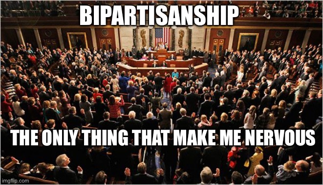 Bipartisanship | BIPARTISANSHIP; THE ONLY THING THAT MAKE ME NERVOUS | image tagged in congress,politics,political meme | made w/ Imgflip meme maker
