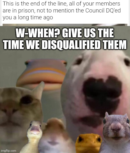 W-WHEN? GIVE US THE TIME WE DISQUALIFIED THEM | image tagged in the council remastered | made w/ Imgflip meme maker