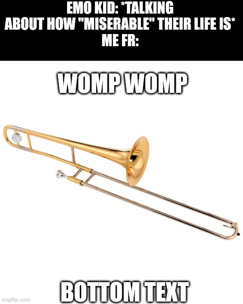 Womp Womp | EMO KID: *TALKING ABOUT HOW "MISERABLE" THEIR LIFE IS*
ME FR:; WOMP WOMP; BOTTOM TEXT | image tagged in trombone | made w/ Imgflip meme maker