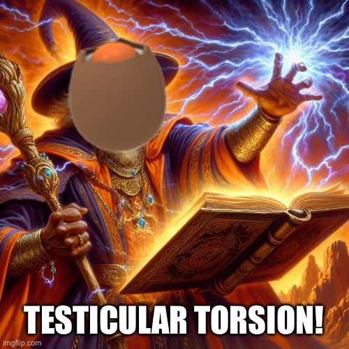 Wizard I cast | TESTICULAR TORSION! | image tagged in wizard i cast | made w/ Imgflip meme maker