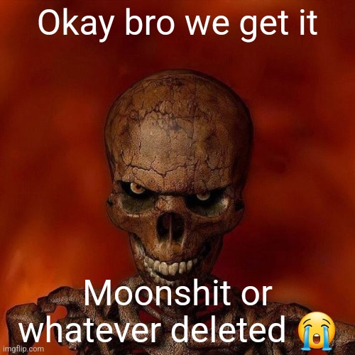 do not skeleton | Okay bro we get it; Moonshit or whatever deleted 😭 | image tagged in do not skeleton | made w/ Imgflip meme maker