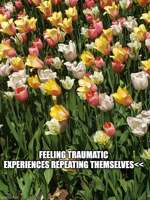 FEELING TRAUMATIC EXPERIENCES REPEATING THEMSELVES<< | made w/ Imgflip meme maker