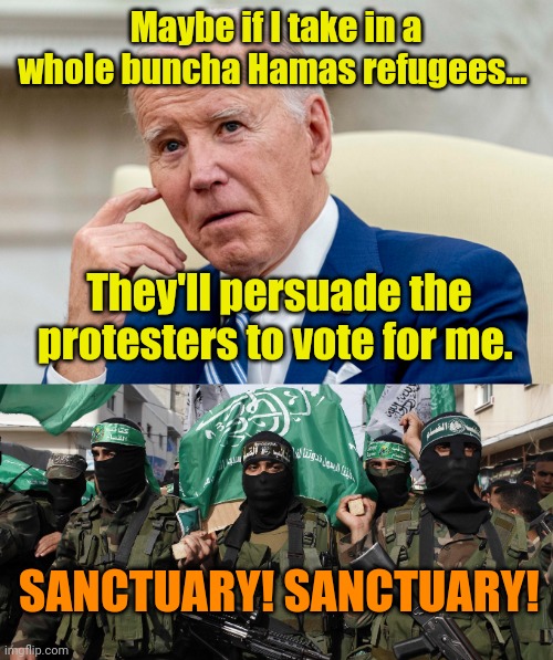 What could go wrong? Seriously! | Maybe if I take in a whole buncha Hamas refugees... They'll persuade the protesters to vote for me. SANCTUARY! SANCTUARY! | image tagged in hamas | made w/ Imgflip meme maker