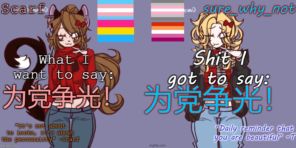 为党争光！; 为党争光！ | image tagged in scarf and t shared template | made w/ Imgflip meme maker