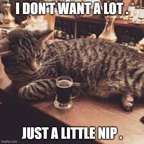 memes by Brad - drinking cat only wanted a little nip - humor | I DON'T WANT A LOT . JUST A LITTLE NIP . | image tagged in funny,funny cat memes,cats,kittens,humor | made w/ Imgflip meme maker