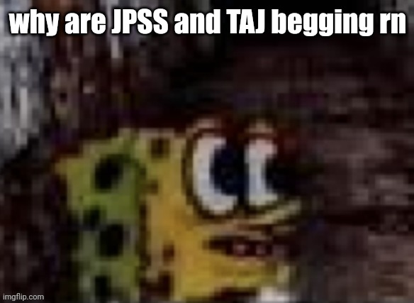 spunch bop trauma | why are JPSS and TAJ begging rn | image tagged in spunch bop trauma | made w/ Imgflip meme maker