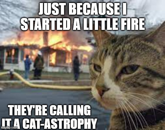 memes by Brad - cat starting fire - humor | JUST BECAUSE I STARTED A LITTLE FIRE; THEY'RE CALLING IT A CAT-ASTROPHY | image tagged in funny,cats,funny cat,fire,humor,funny cat memes | made w/ Imgflip meme maker