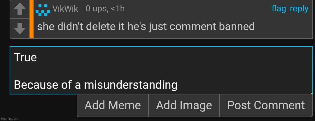 That post actually also explained the reason why i got false banned | made w/ Imgflip meme maker
