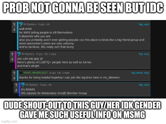Blank White Template | PROB NOT GONNA BE SEEN BUT IDC; DUDE SHOUT-OUT TO THIS GUY/HER IDK GENDER 
GAVE ME SUCH USEFUL INFO ON MSMG | image tagged in blank white template | made w/ Imgflip meme maker