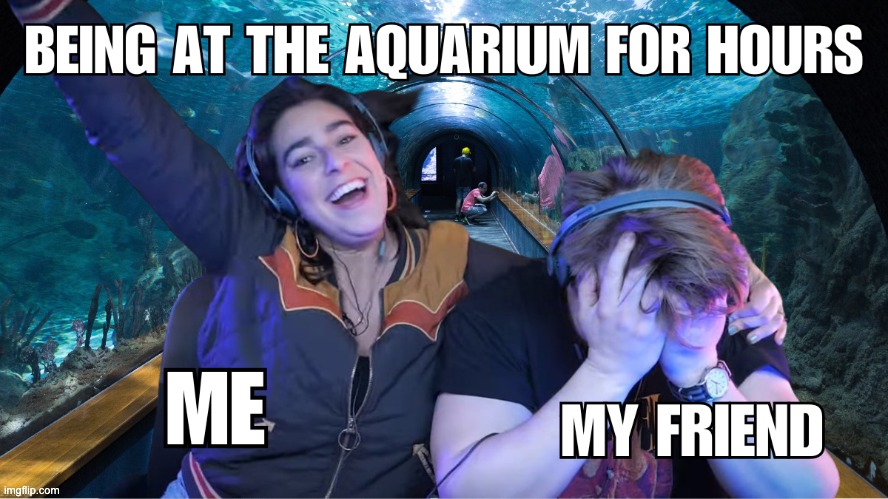 Aquarium friends | image tagged in smosh | made w/ Imgflip meme maker