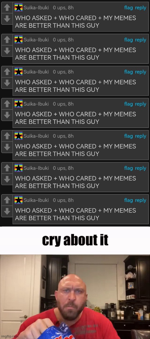 this guy spam hate comments after i make a meme not liking skibidi toilet | image tagged in cry about it,hate comments | made w/ Imgflip meme maker