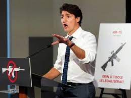 High Quality Trudeau gun laws Blank Meme Template