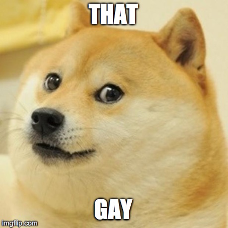 Doge Meme | THAT GAY | image tagged in memes,doge | made w/ Imgflip meme maker