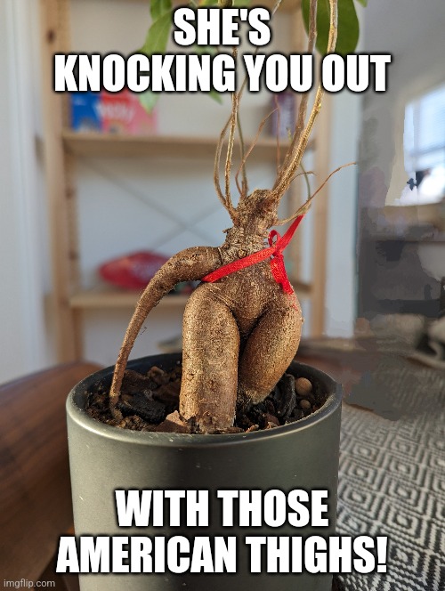 American Thighs | SHE'S KNOCKING YOU OUT; WITH THOSE AMERICAN THIGHS! | image tagged in thighs,plant with legs,roots with legs,roots,sexy plant,sexy roots | made w/ Imgflip meme maker