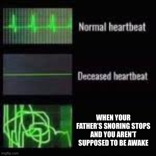 Real | WHEN YOUR FATHER’S SNORING STOPS AND YOU AREN’T SUPPOSED TO BE AWAKE | image tagged in heart monitor | made w/ Imgflip meme maker