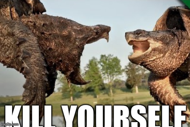 Snapping turtle | KILL YOURSELF | made w/ Imgflip meme maker