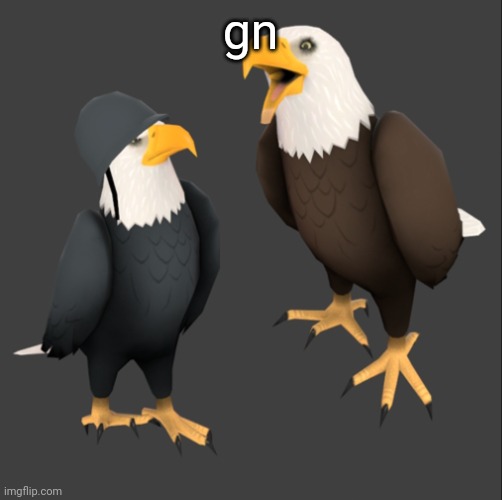 tf2 eagles | gn | image tagged in tf2 eagles | made w/ Imgflip meme maker
