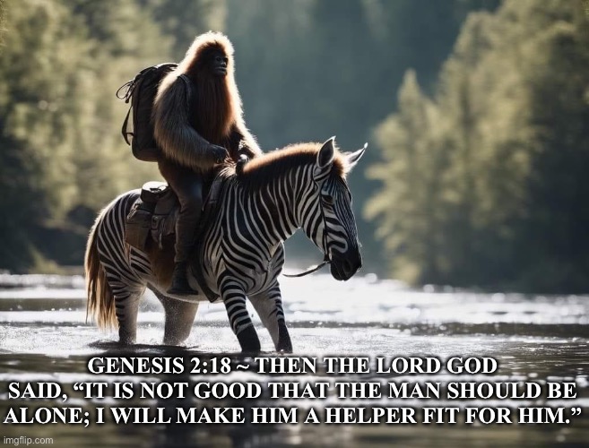 Escaped Zebra In North Bend | GENESIS 2:18 ~ THEN THE LORD GOD SAID, “IT IS NOT GOOD THAT THE MAN SHOULD BE ALONE; I WILL MAKE HIM A HELPER FIT FOR HIM.” | image tagged in bigfoot,zebra | made w/ Imgflip meme maker