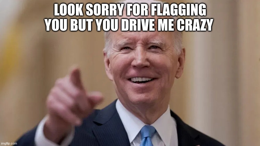 joe biden | LOOK SORRY FOR FLAGGING YOU BUT YOU DRIVE ME CRAZY | image tagged in joe biden | made w/ Imgflip meme maker