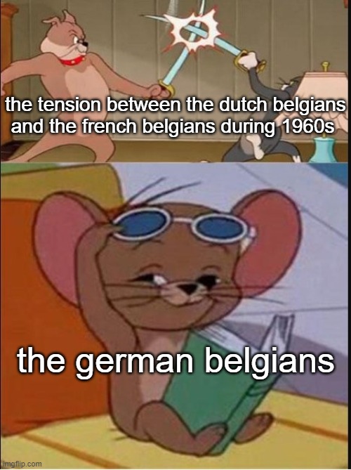 duch people were majority in the country and minority in the capital city of belgium and the french were rich and powerful | the tension between the dutch belgians and the french belgians during 1960s; the german belgians | image tagged in tom and spike fighting,belgium,dutch,french,german | made w/ Imgflip meme maker