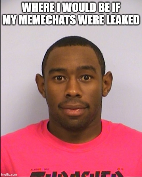 this image is TOO funny | WHERE I WOULD BE IF MY MEMECHATS WERE LEAKED | image tagged in tyler mugshot | made w/ Imgflip meme maker