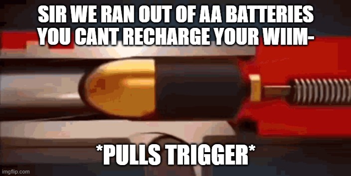 this was sadly true in 2008 when the wii was still alive | SIR WE RAN OUT OF AA BATTERIES YOU CANT RECHARGE YOUR WIIM-; *PULLS TRIGGER* | image tagged in mississippi queen gun meme | made w/ Imgflip meme maker