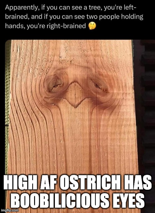 Only this bird is real | HIGH AF OSTRICH HAS
BOOBILICIOUS EYES | image tagged in ostrich,too damn high,58008 | made w/ Imgflip meme maker