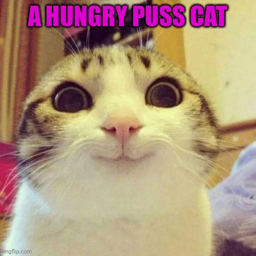 Smiling Cat Meme | A HUNGRY PUSS CAT | image tagged in memes,smiling cat | made w/ Imgflip meme maker