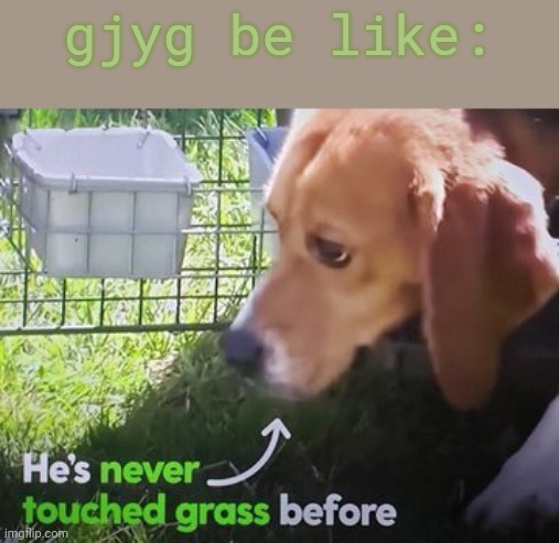 He's never touched grass before | gjyg be like: | image tagged in he's never touched grass before | made w/ Imgflip meme maker