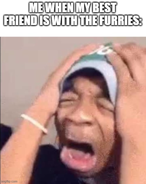 me: you've chosen the wrong path... | ME WHEN MY BEST FRIEND IS WITH THE FURRIES: | image tagged in flightreacts crying,anti furry | made w/ Imgflip meme maker