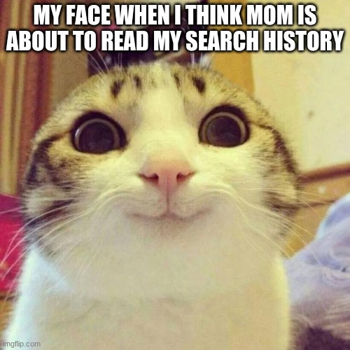 Uh-oh | MY FACE WHEN I THINK MOM IS ABOUT TO READ MY SEARCH HISTORY | image tagged in memes,smiling cat | made w/ Imgflip meme maker