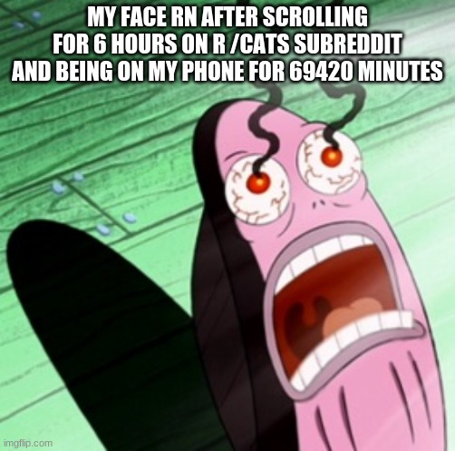 Burning eyes | MY FACE RN AFTER SCROLLING FOR 6 HOURS ON R /CATS SUBREDDIT AND BEING ON MY PHONE FOR 69420 MINUTES | image tagged in burning eyes | made w/ Imgflip meme maker