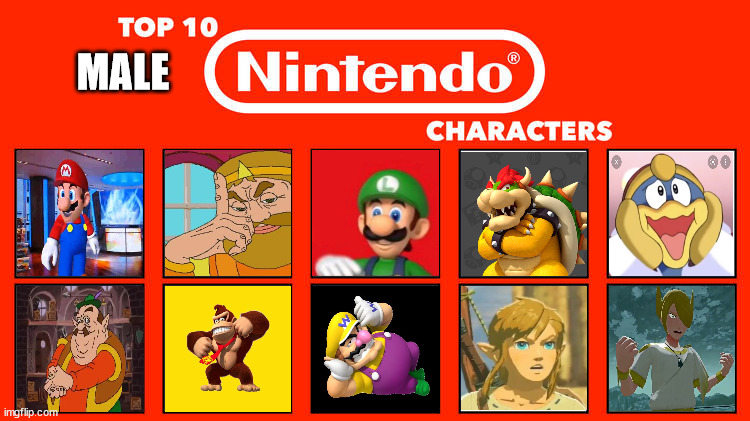 top 10 male nintendo characters | MALE | image tagged in top 10 nintendo characters,mario,legend of zelda,king dedede,video games,zelda cdi | made w/ Imgflip meme maker