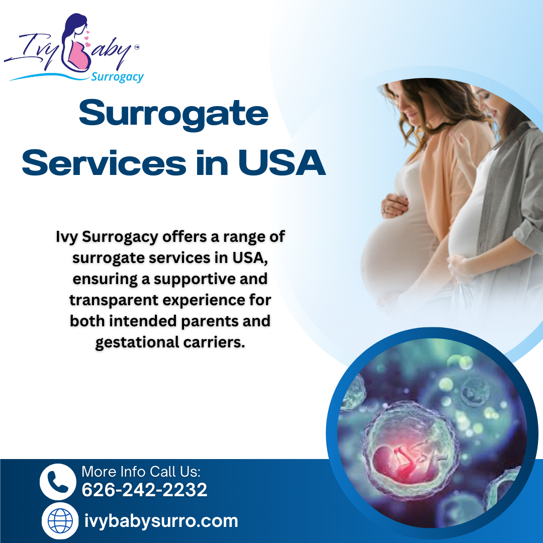 Surrogate Service In USA Blank Meme Template
