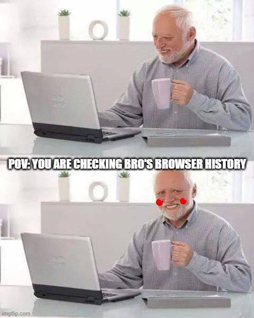 Warudo #19 | POV: YOU ARE CHECKING BRO'S BROWSER HISTORY | image tagged in memes,hide the pain harold | made w/ Imgflip meme maker