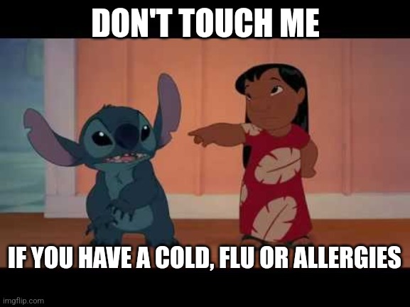 lilo and stitch | DON'T TOUCH ME; IF YOU HAVE A COLD, FLU OR ALLERGIES | image tagged in lilo and stitch | made w/ Imgflip meme maker