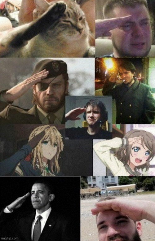 Salute | image tagged in salute to the fallen | made w/ Imgflip meme maker