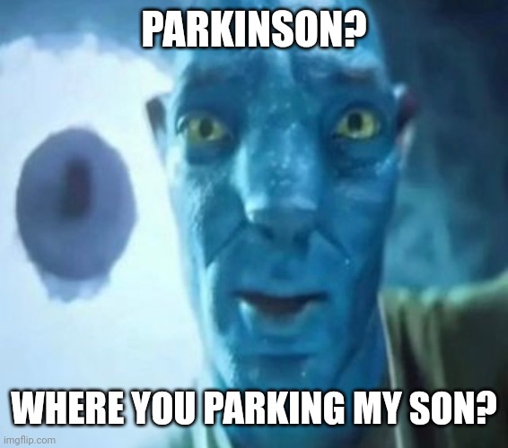 Avatar guy | PARKINSON? WHERE YOU PARKING MY SON? | image tagged in avatar guy | made w/ Imgflip meme maker