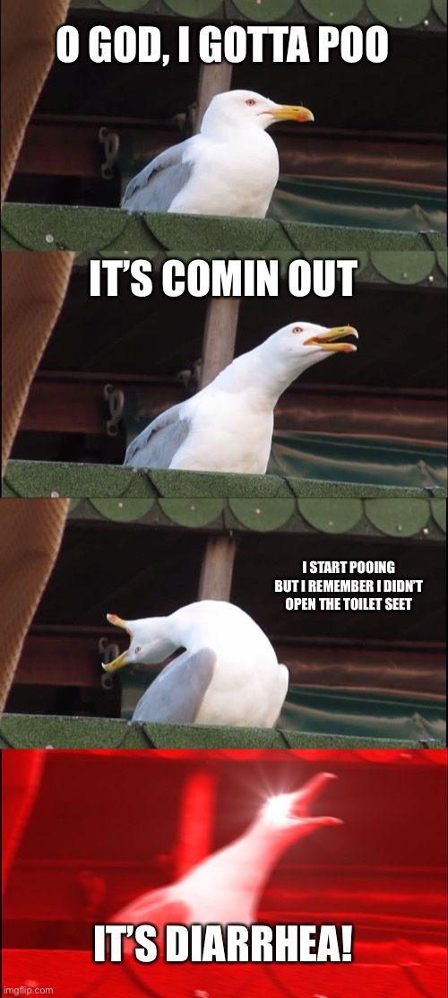 Inhaling Seagull | O GOD, I GOTTA POO; IT’S COMIN OUT; I START POOING BUT I REMEMBER I DIDN’T OPEN THE TOILET SEET; IT’S DIARRHEA! | image tagged in memes,inhaling seagull | made w/ Imgflip meme maker