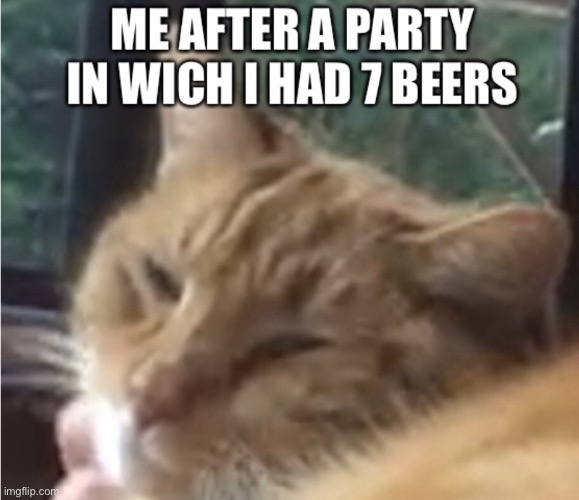 Drunk cat | image tagged in funny cats | made w/ Imgflip meme maker