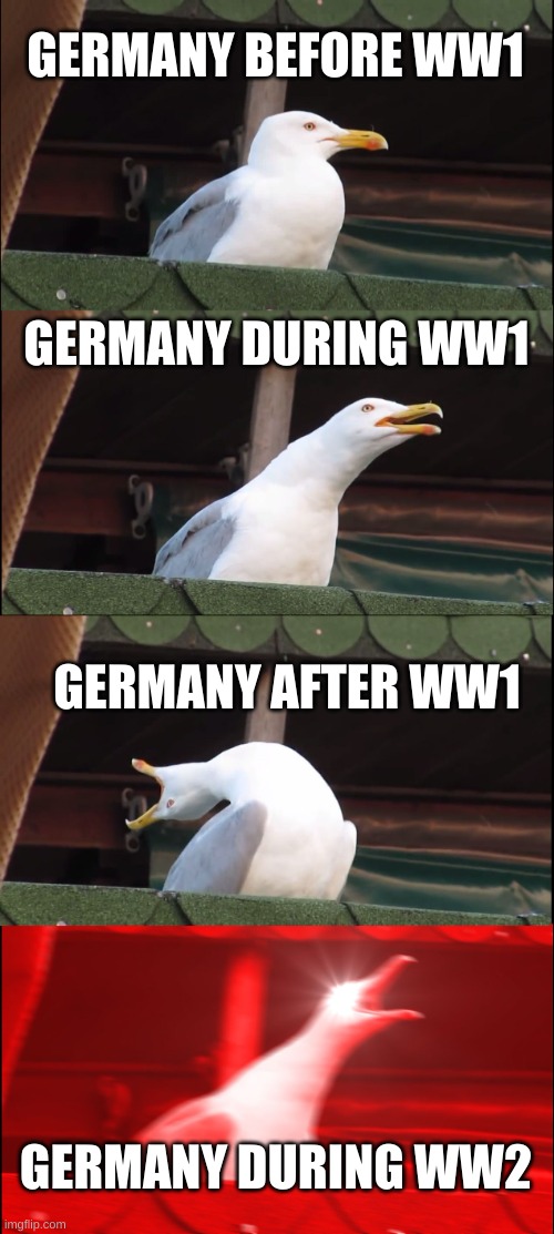 Germany History | GERMANY BEFORE WW1; GERMANY DURING WW1; GERMANY AFTER WW1; GERMANY DURING WW2 | image tagged in memes,inhaling seagull,browser history | made w/ Imgflip meme maker
