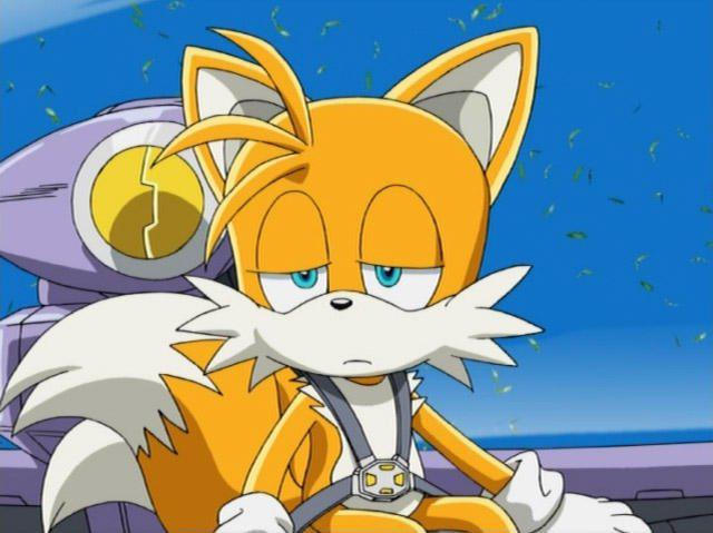 High Quality Sad Tails Blank Meme Template