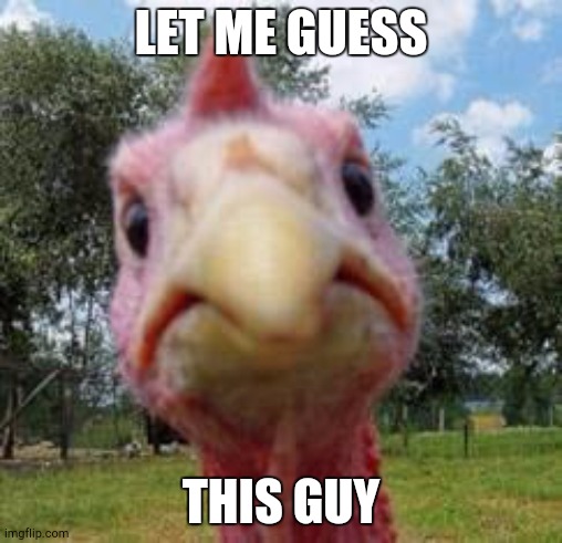 turkey | LET ME GUESS THIS GUY | image tagged in turkey | made w/ Imgflip meme maker