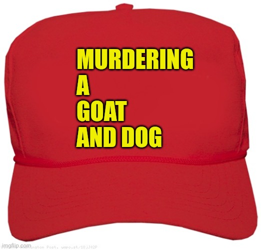 Kristi Noem | MURDERING
A
GOAT
AND DOG | image tagged in blank red maga hat | made w/ Imgflip meme maker