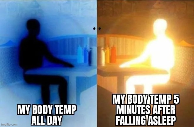 image tagged in body,temperature,day,sleep,hot,cold | made w/ Imgflip meme maker