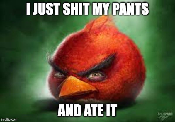 Bird poop | image tagged in angry birds,poopy pants,memes,funny,shitpost,poop | made w/ Imgflip meme maker